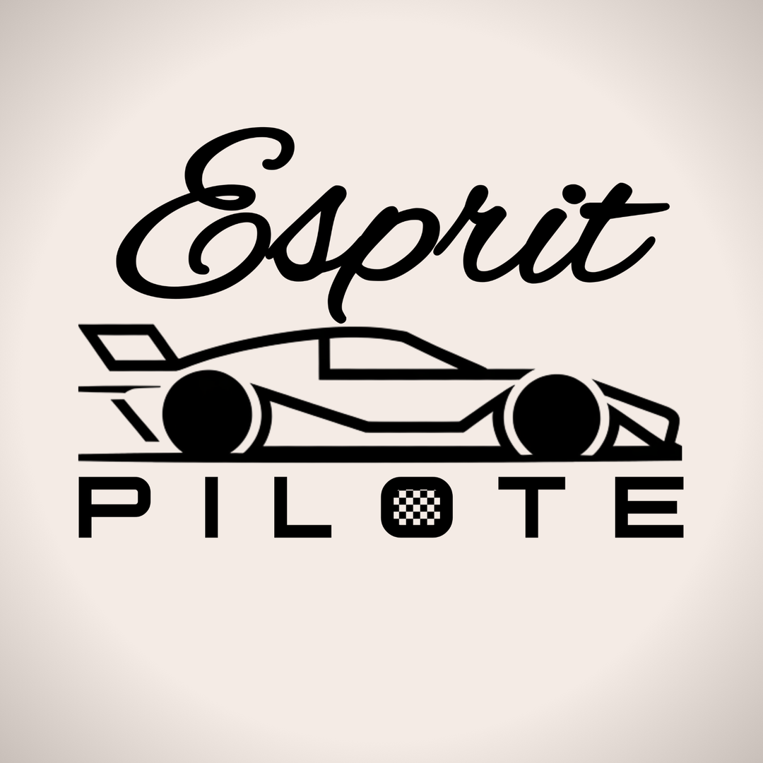 Esprit Pilote Stylo Bille Premium