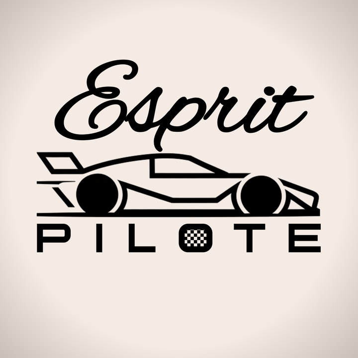 Esprit Pilote Stylo Bille Premium